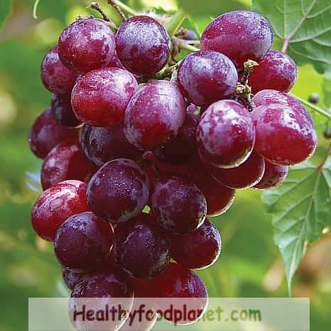 grapes-fruit